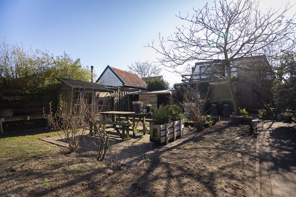 Tuin 3.jpg